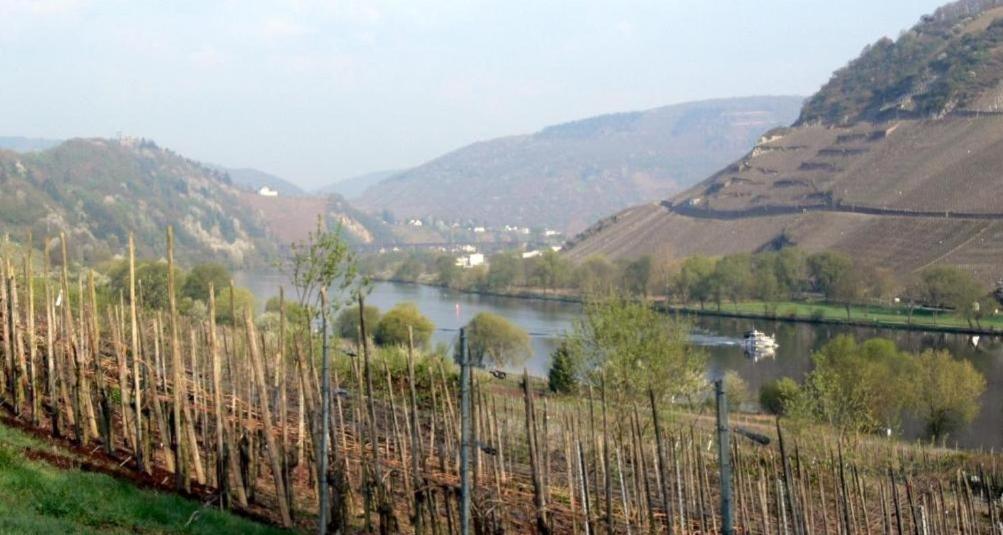 Panorama-Cafe Moselgarten Alf Buitenkant foto